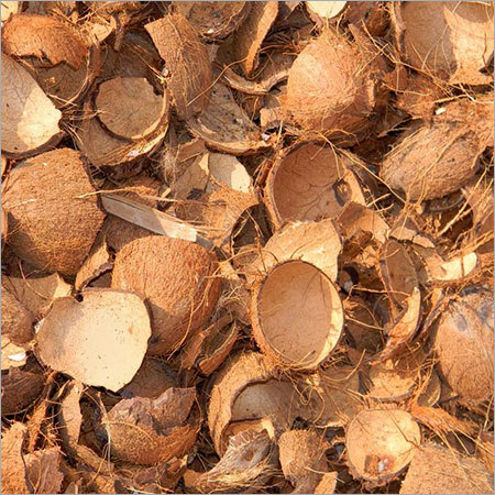 Can Coconut Shells be of Use? - Bradley Study Center